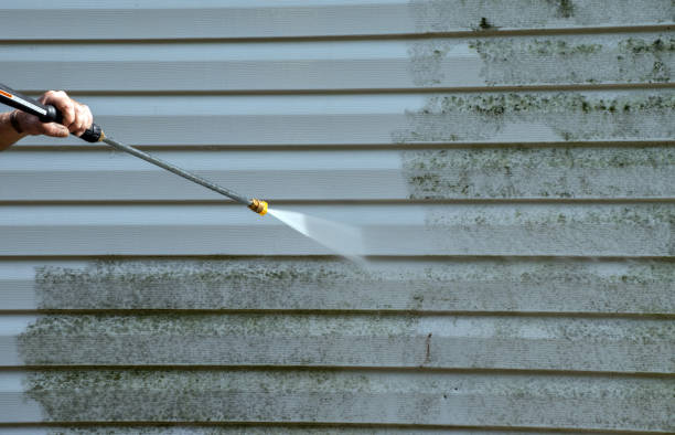 Best Roof Power Washing Services  in Bangor, PA